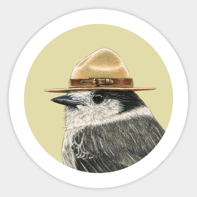 Canada jay Sticker by Mikhail Vedernikov